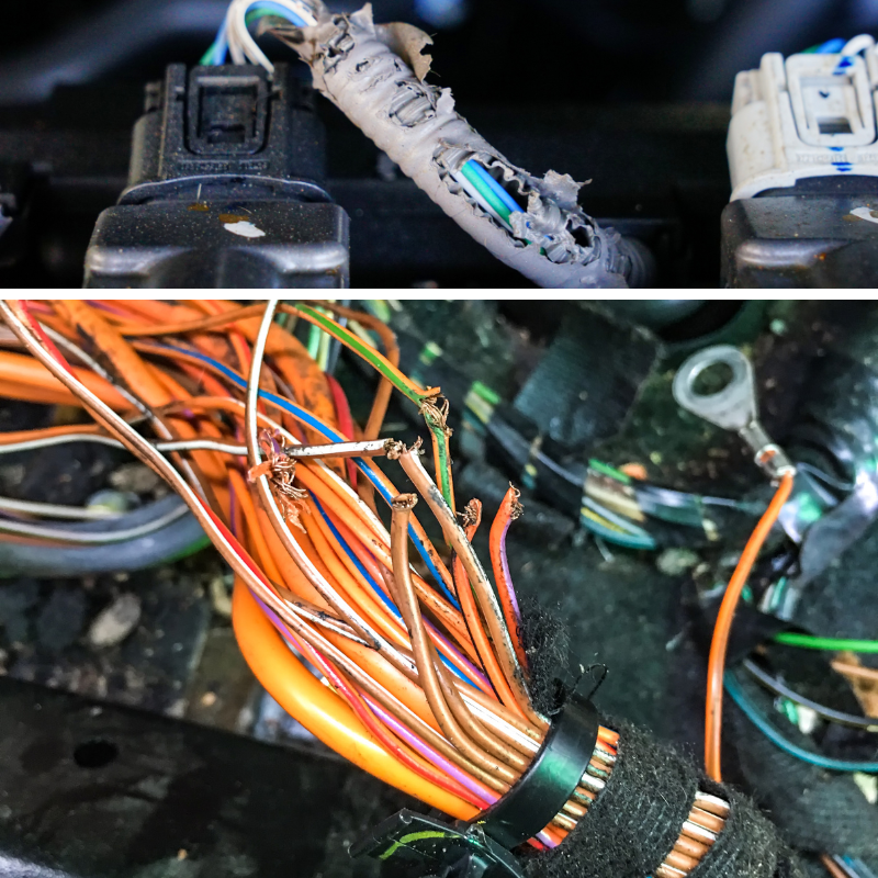 Foto van doorgevreten kabels in een auto veroorzaakt door een steenmarter.